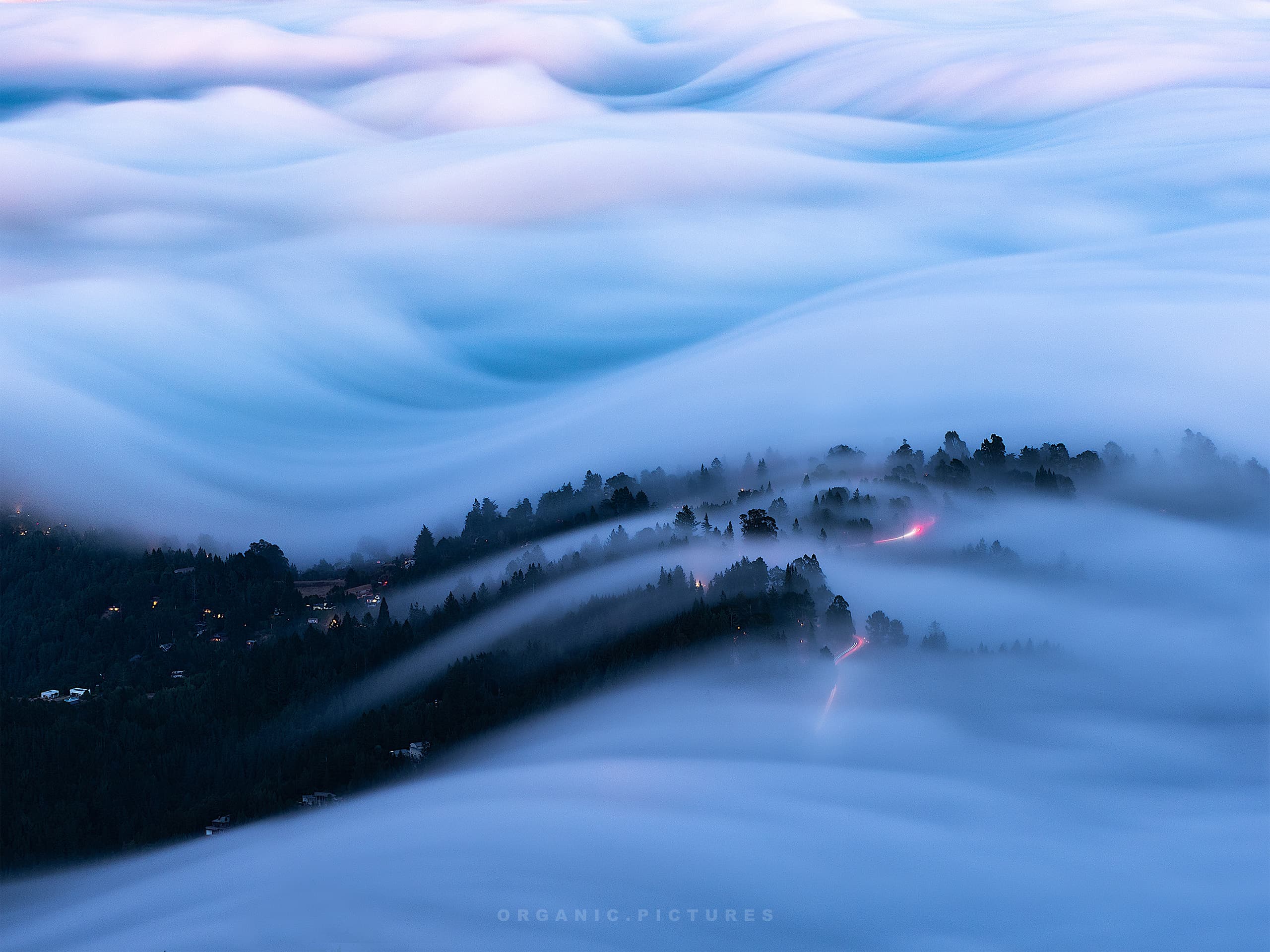 tamalpais-3
