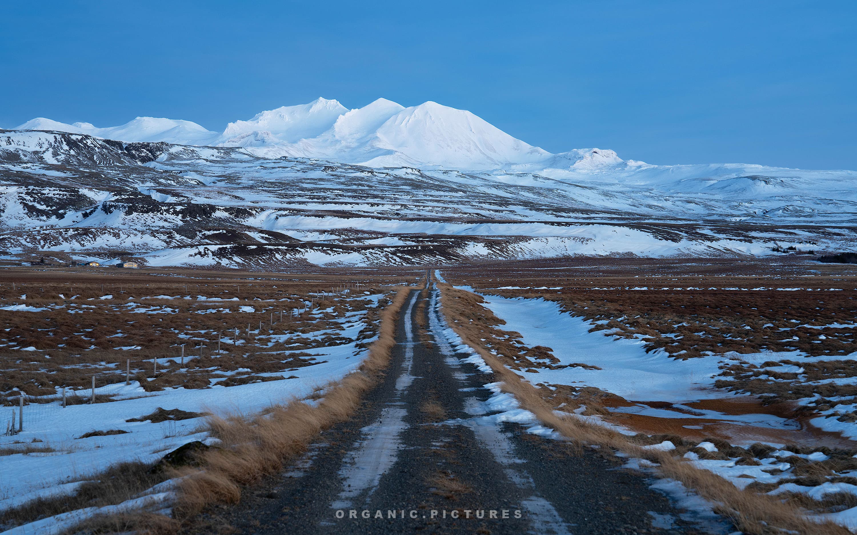 iceland-1
