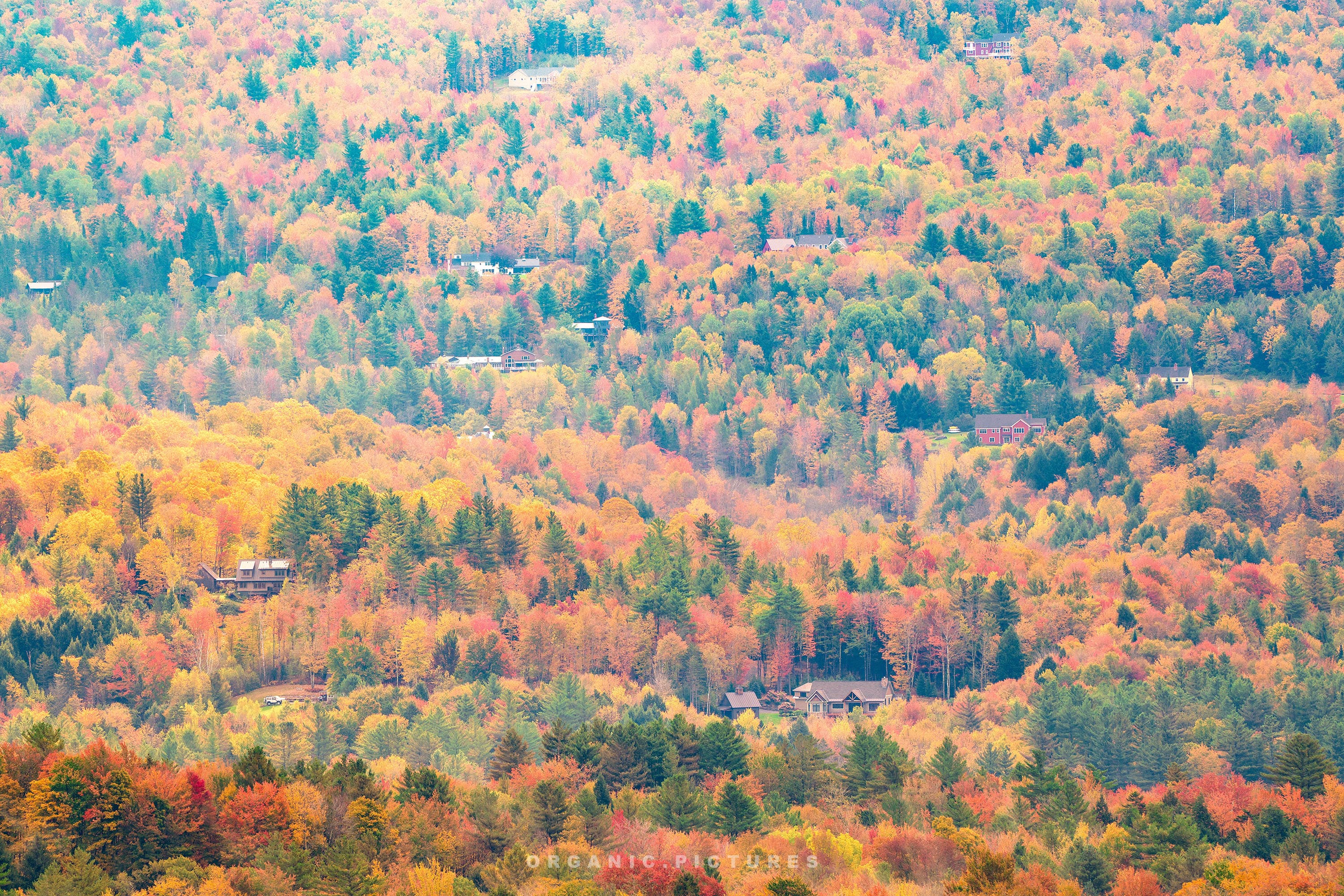 trapp-family-lodge