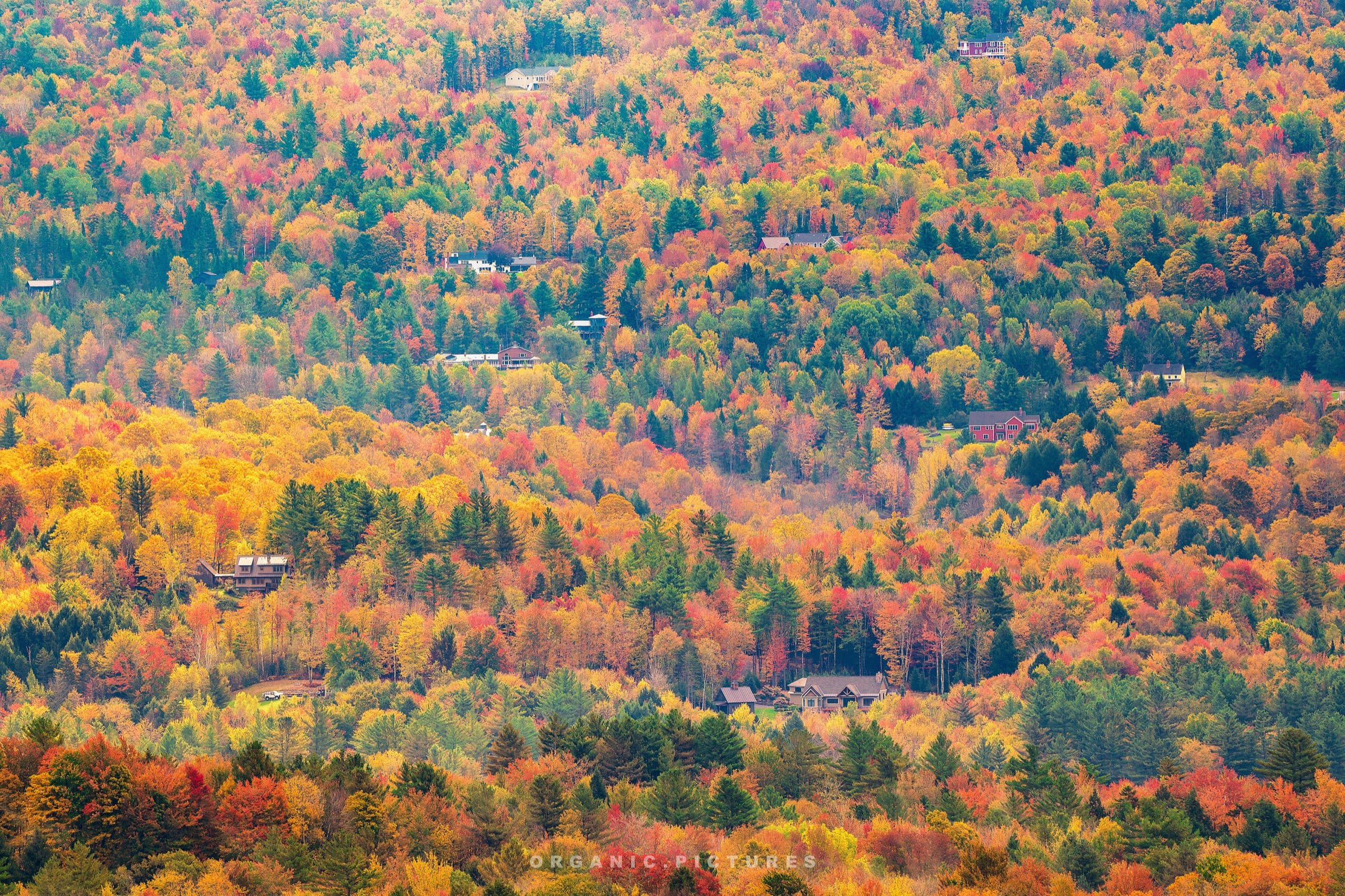 trapp-family-lodge